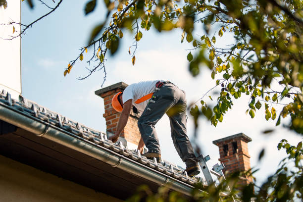 Roof Repair Estimates in Los Alamitos, CA